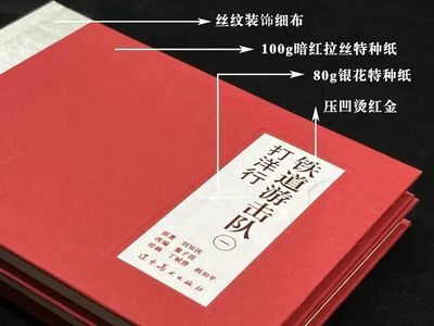 铁道游击队～32开精装