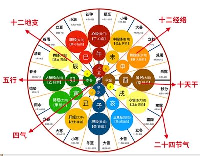 经络疏通 顺时保养