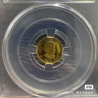 加拿大独木舟金币