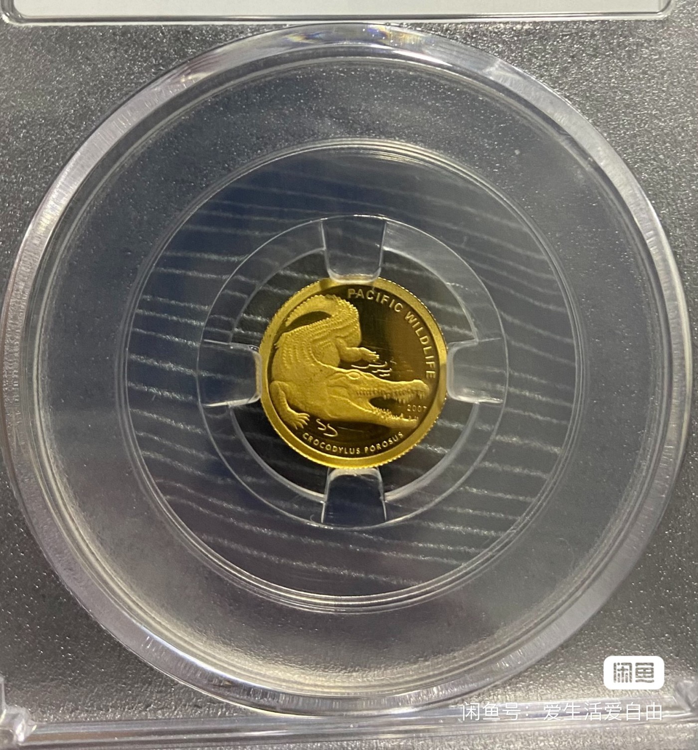 帕劳咸水鳄金币