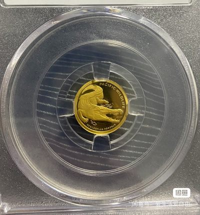 帕劳咸水鳄金币