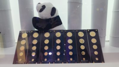 北京国际钱币博览会有感