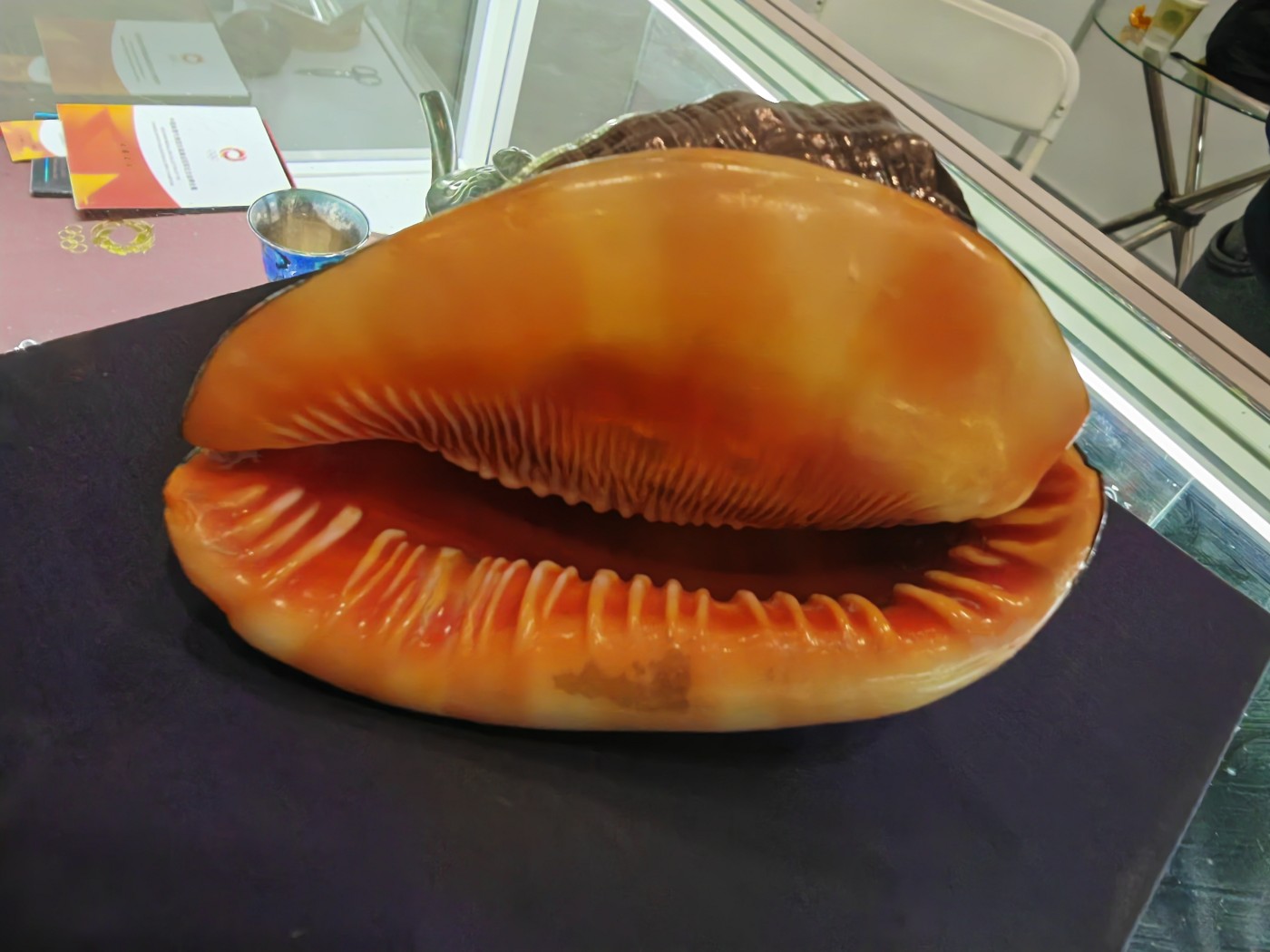 收获的日子😻满载而归钱币与大铜章🎷🎷🍺🍺🍺