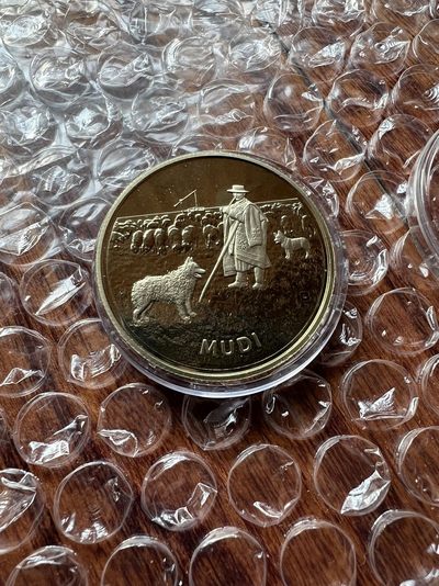 2023我的最佳藏品