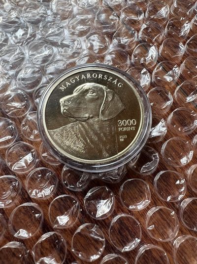 2023我的最佳藏品