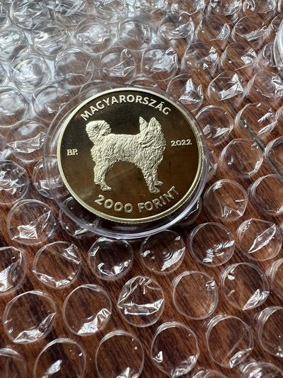 2023我的最佳藏品