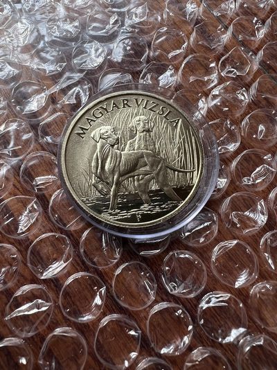 2023我的最佳藏品