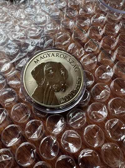 2023我的最佳藏品