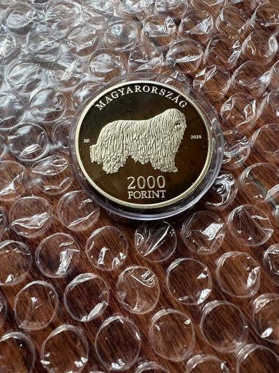 2023我的最佳藏品