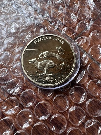 2023我的最佳藏品