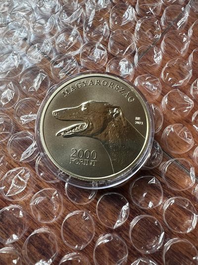 2023我的最佳藏品