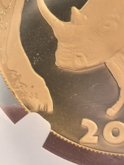 收到了传说中的月下犀牛金币，虽然不是特别版本，但还是很漂亮