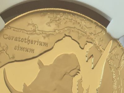 收到了传说中的月下犀牛金币，虽然不是特别版本，但还是很漂亮