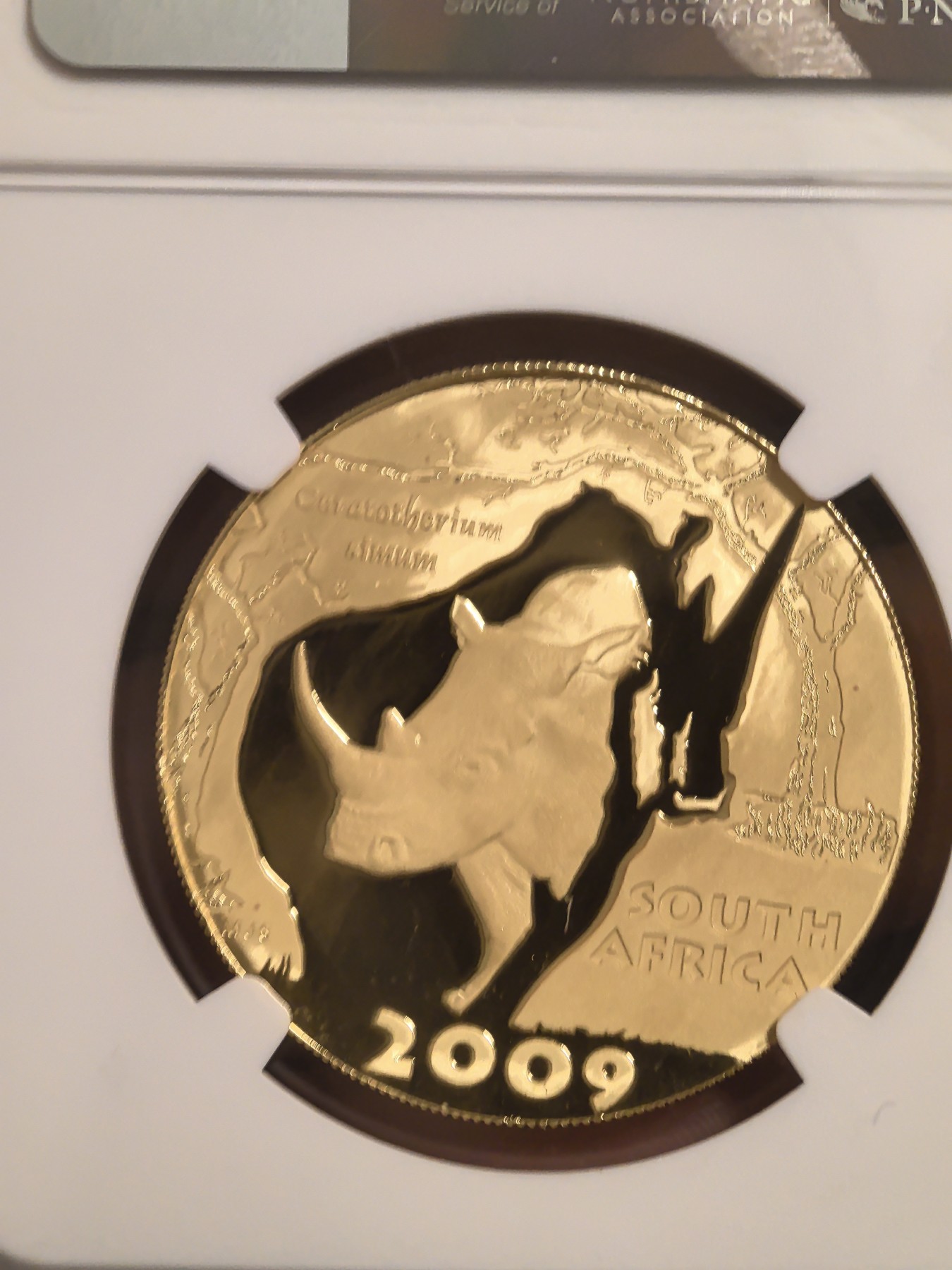 收到了传说中的月下犀牛金币，虽然不是特别版本，但还是很漂亮