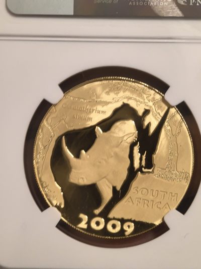 收到了传说中的月下犀牛金币，虽然不是特别版本，但还是很漂亮