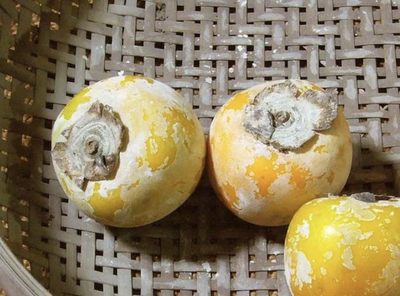 中国画家冷军的油画作品太惊叹太逼真！