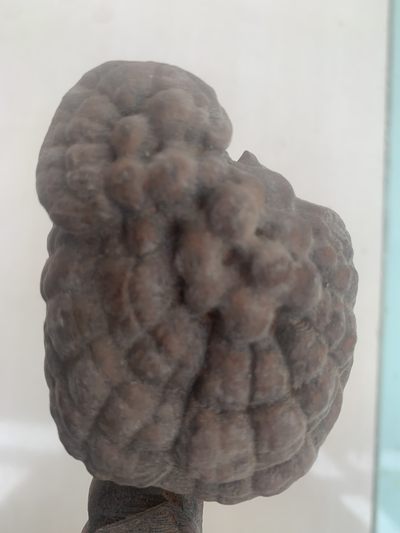 老物件，上好的木材懂的来聊，工艺收藏品