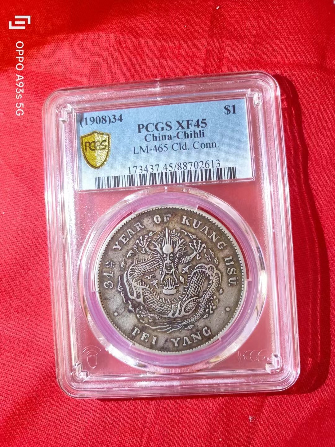 北洋短尾龙，有喜欢的来