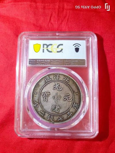 北洋短尾龙，有喜欢的来