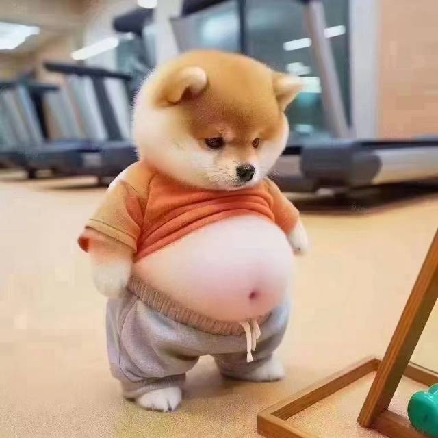 是真是假？各位大神围观