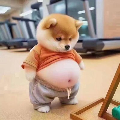 是真是假？各位大神围观