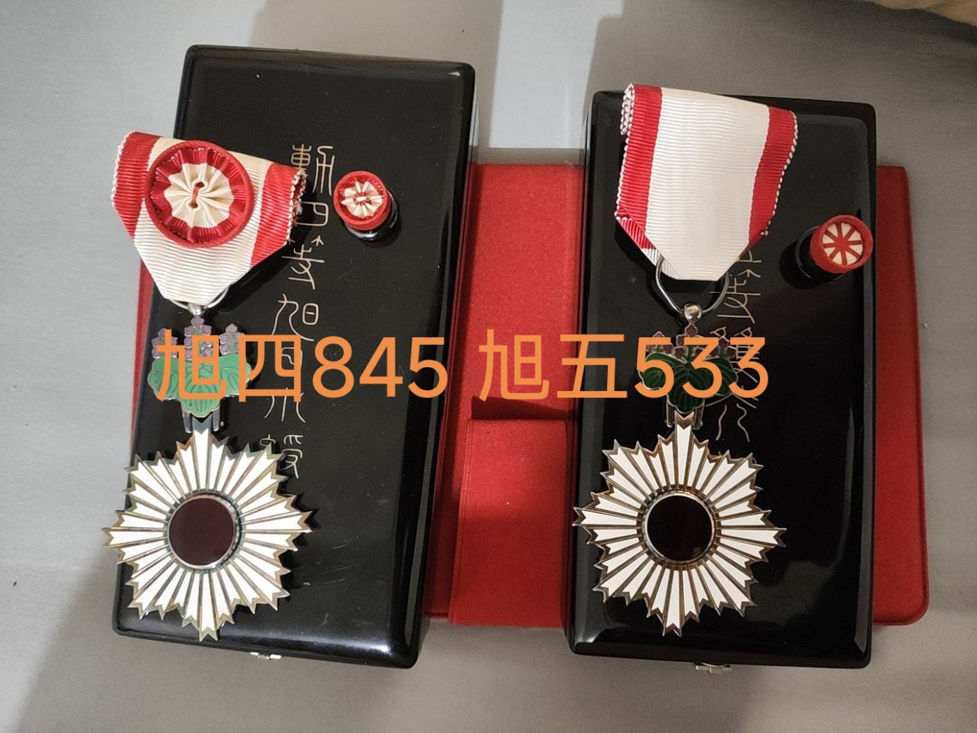 四旭五旭包邮出可走鱼