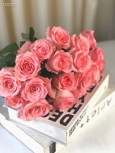 黛安娜玫瑰，现拍卖可一扎也可多件