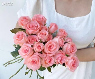 黛安娜玫瑰，现拍卖可一扎也可多件