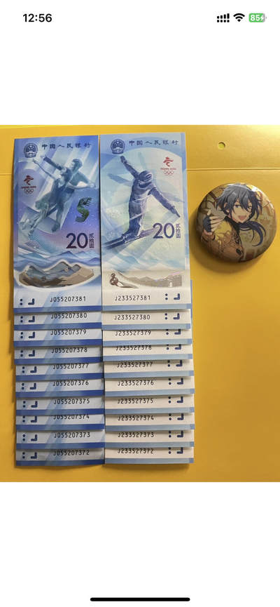 第24届冬季奥林匹克运动会纪念钞一套