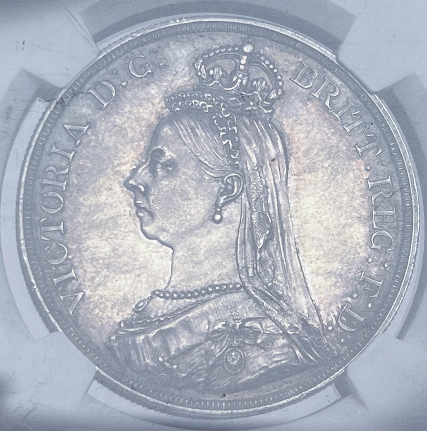 2024发现了新的爱好