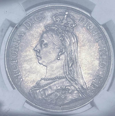 2024发现了新的爱好