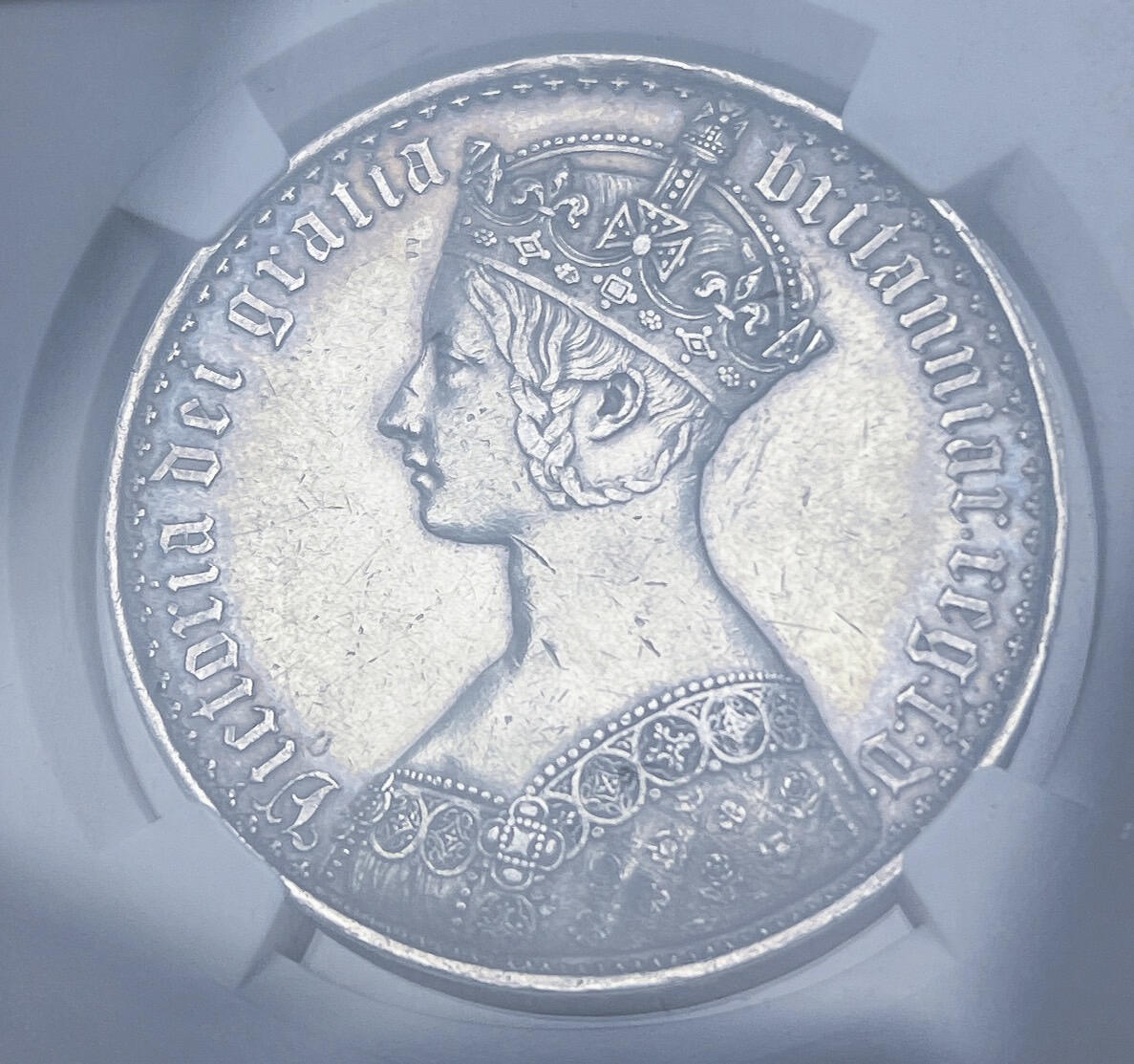 2024发现了新的爱好