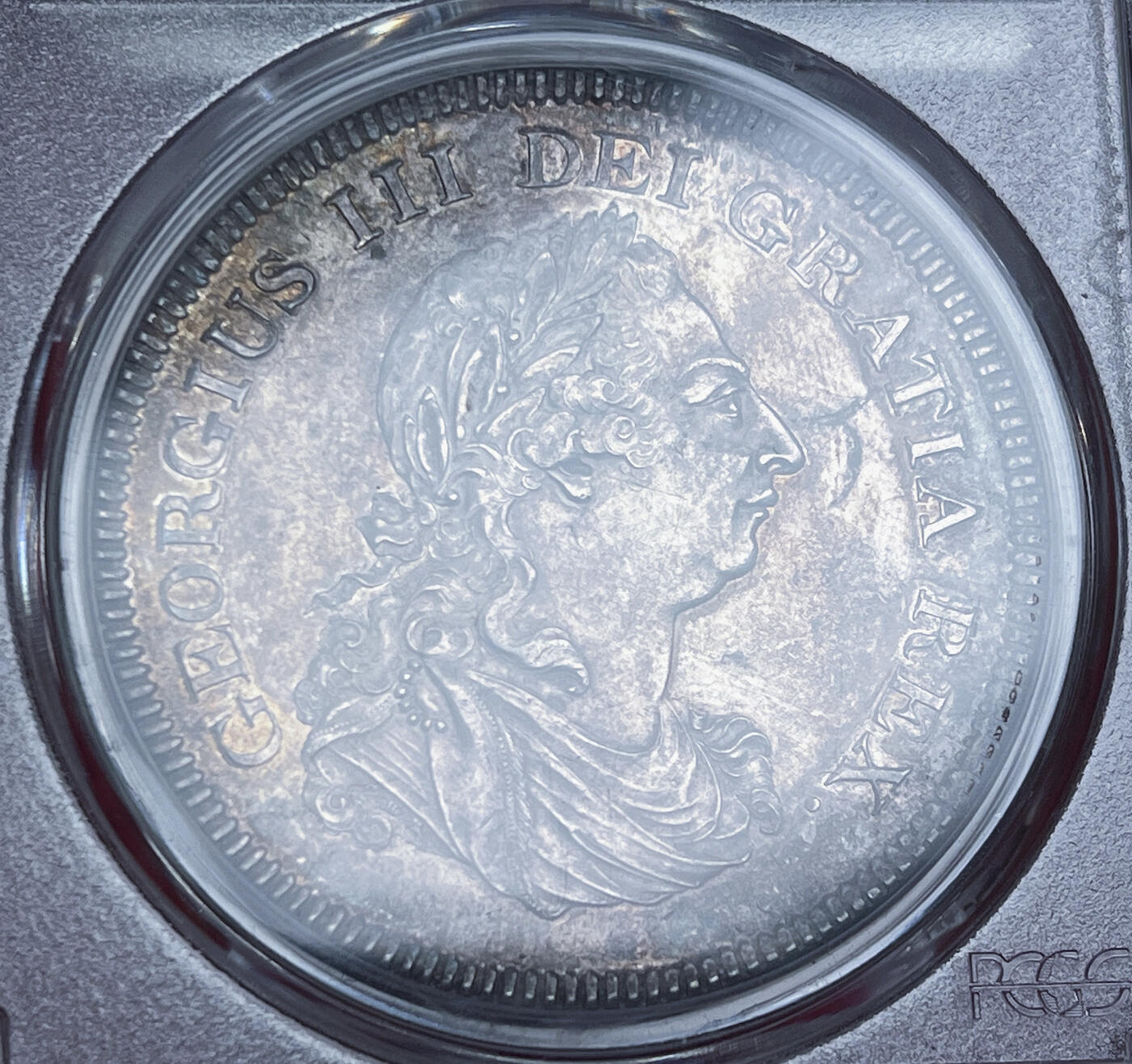 2024发现了新的爱好