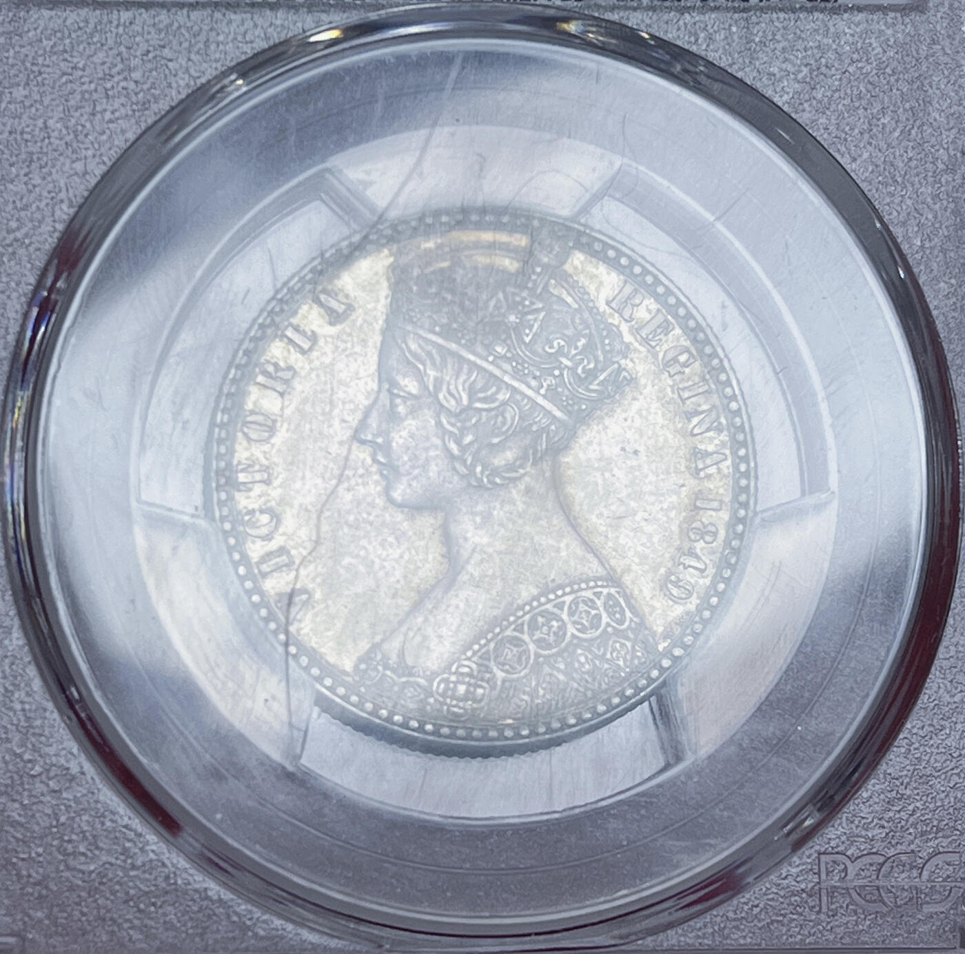 2024发现了新的爱好