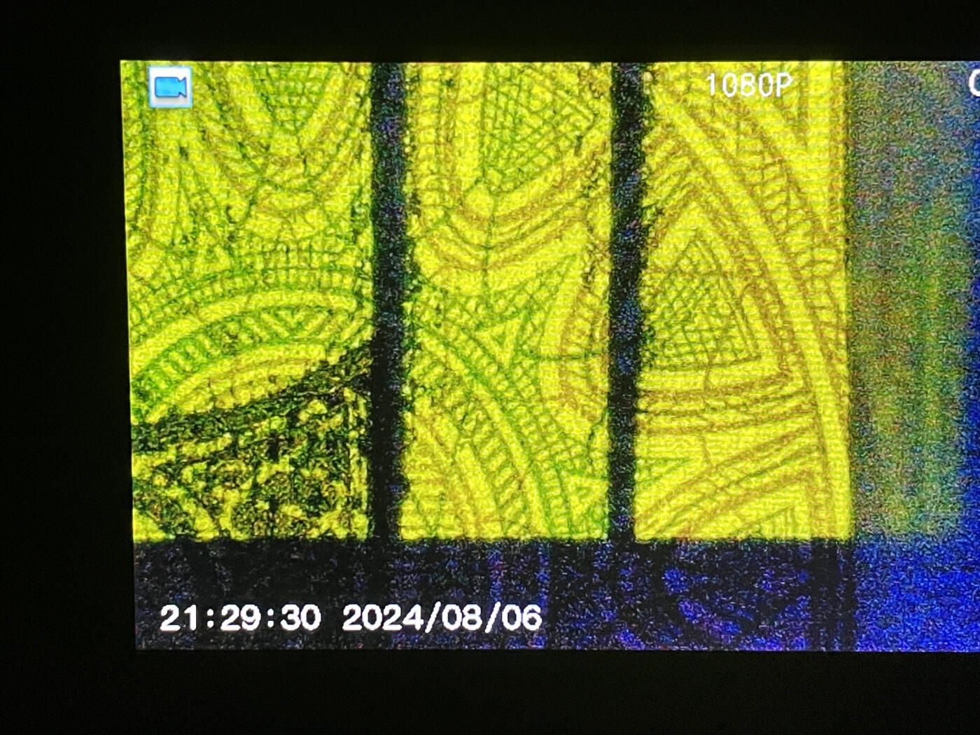 991KK双冠至尊幽兰神影蚂蚁上树字变体荧光币
