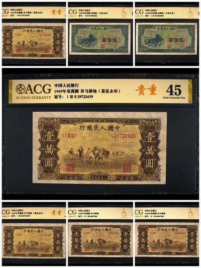 第一版人民币珍品聚在一起