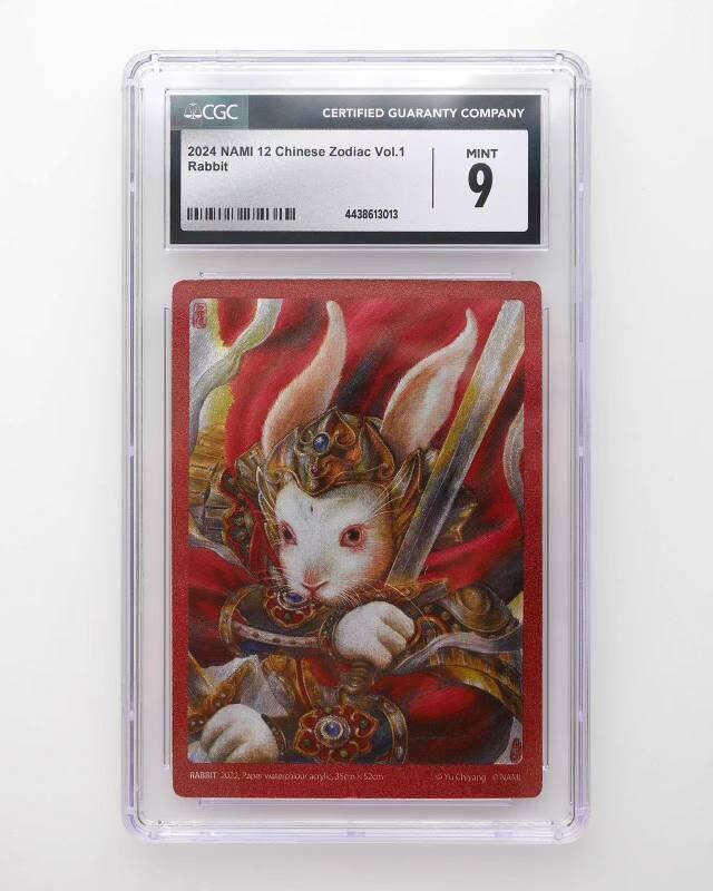 极致的追求者_NAMI