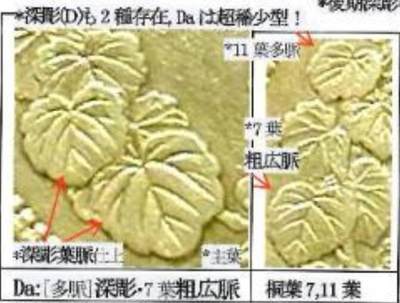 只闻其名，未见其物