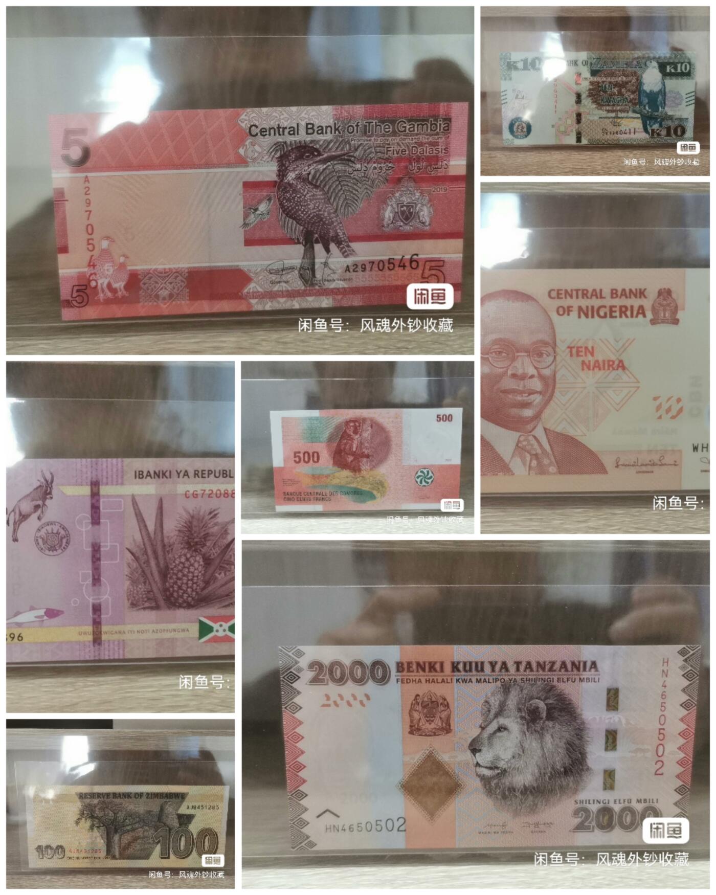 中非命运共同体