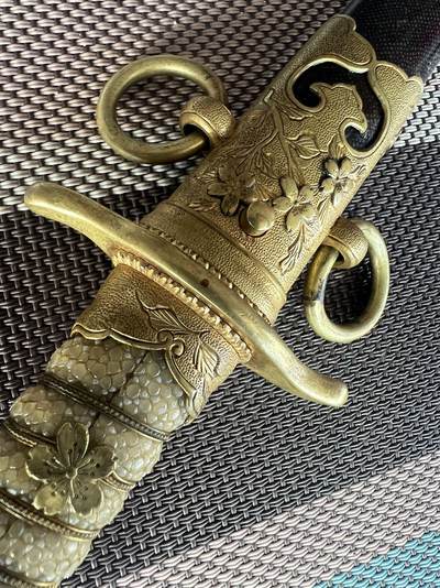 明治海 士 短 鲛鱼皮 早期野猪眼