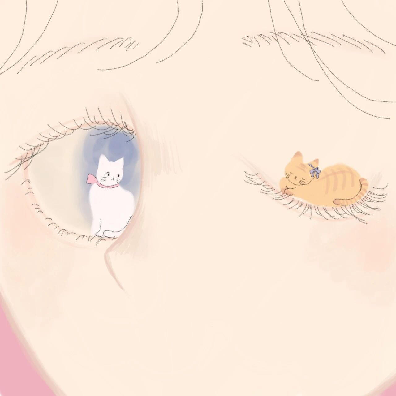 【IIF插画艺术节】参展艺术家-充气小猫