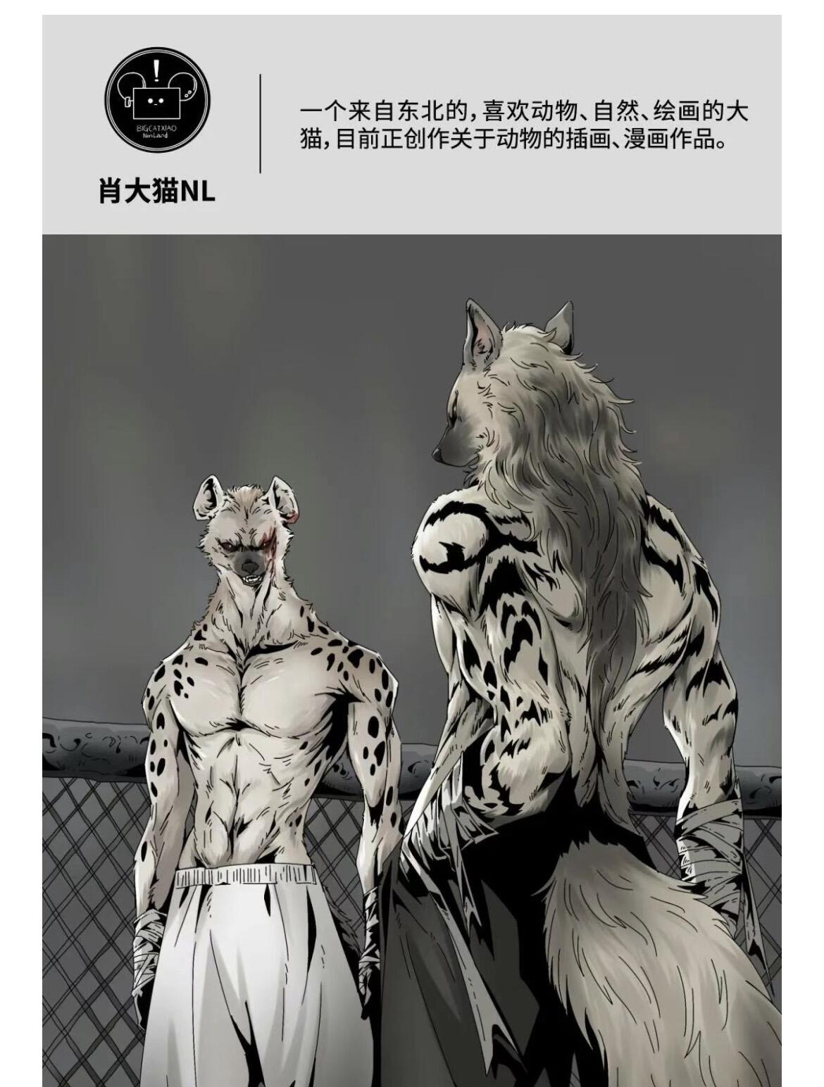【IIF插画艺术节】参展艺术家-肖大猫NL