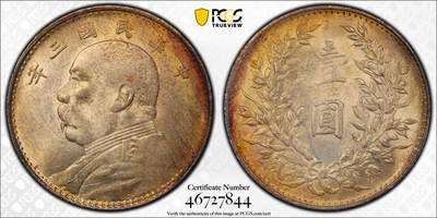 重新开启国币银元收藏No.1 PCGS58三年大头