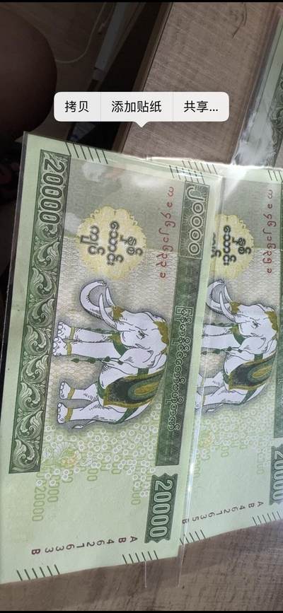 缅甸白像一周年，20000经念币2张580元