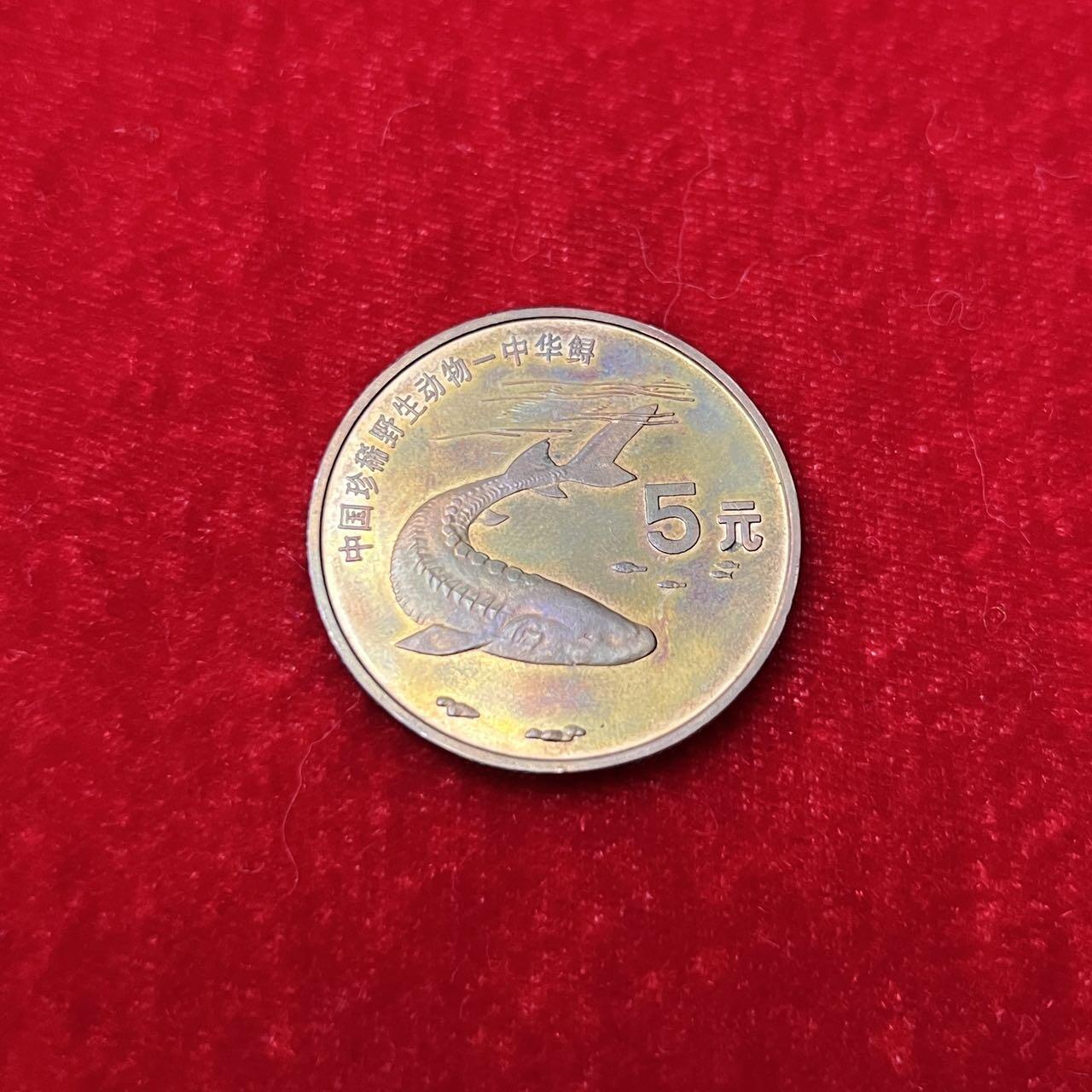 1999年中国珍稀野生动物/中华鲟，金斑啄凤蝶纪念币