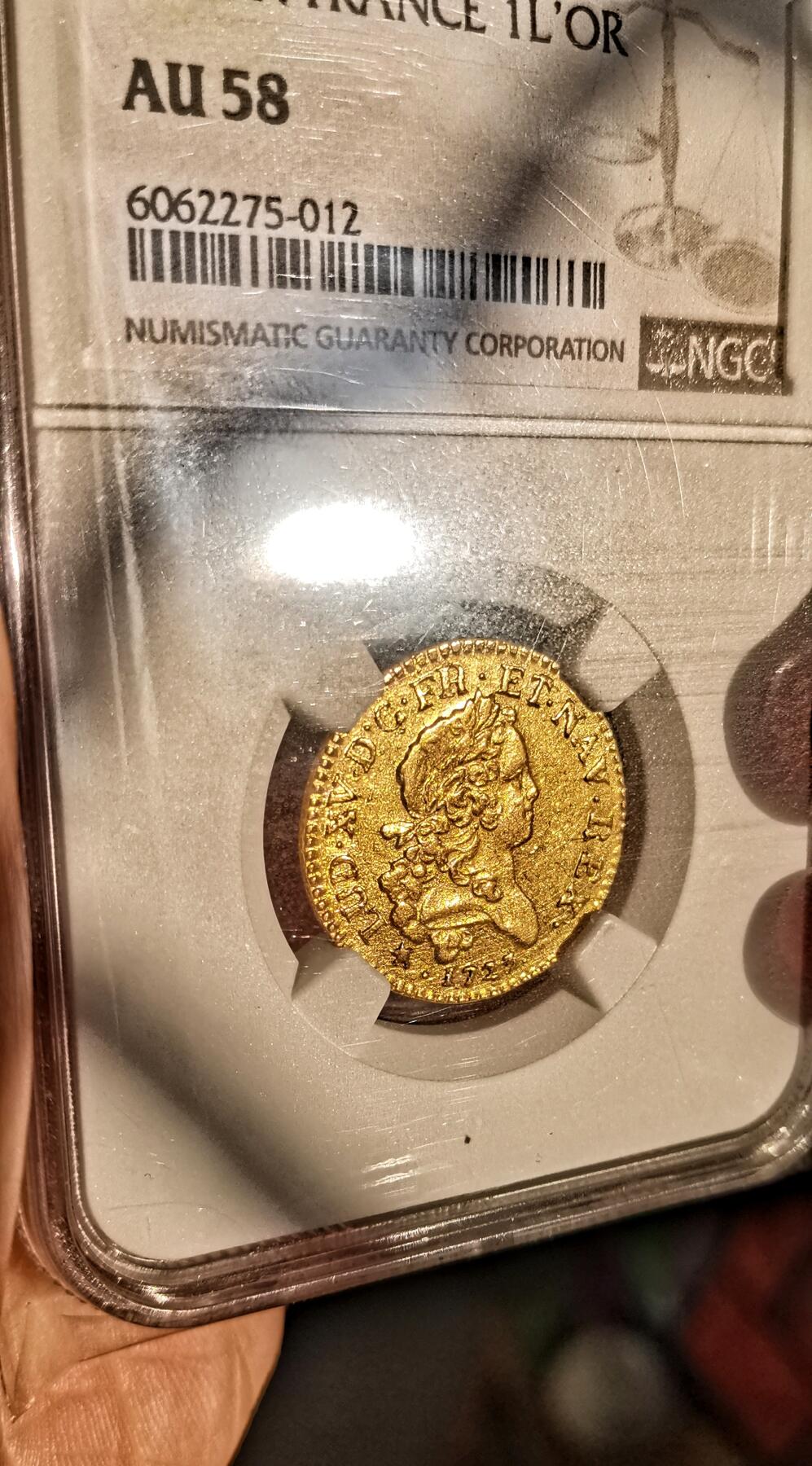 法兰西王国-1路易多尔金币