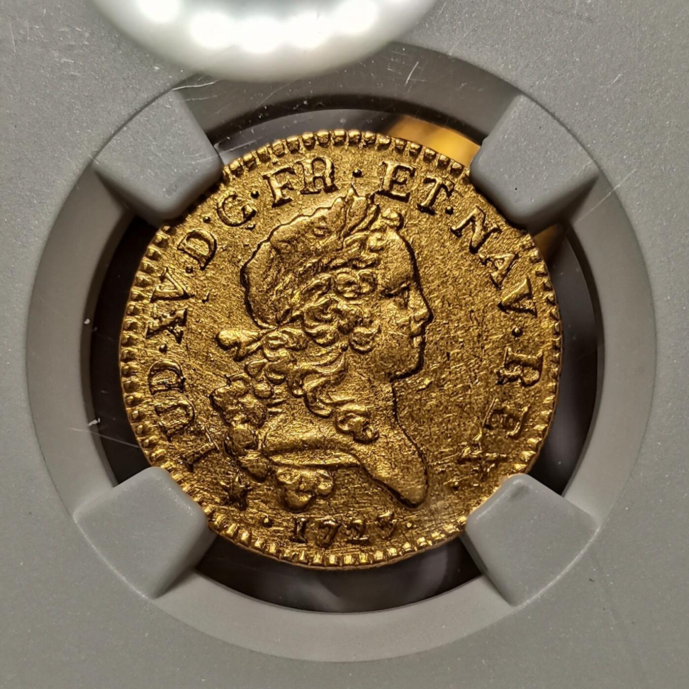 法兰西王国-1路易多尔金币