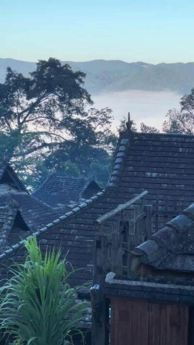 景迈，总是有种回家的感觉