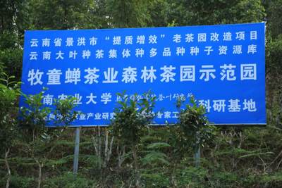 云南农业大学校企合作产品:龙生凤熟