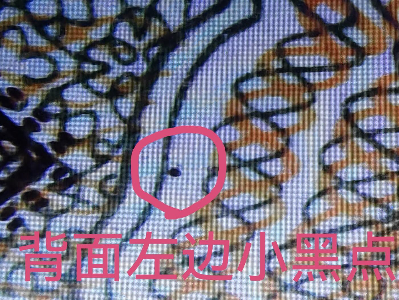 黄金甲字变体（民和银漏印）